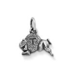 Tonk Charm in Sterling Silver