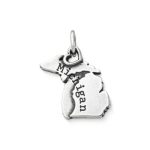 My "Michigan" Charm in Sterling Silver