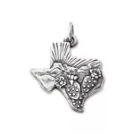 Texas Landscape Charm in Sterling Silver