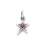 Shining Star Birthstone Charm in Sterling Silver