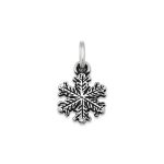Aspen Snow Crystal Charm in Sterling Silver
